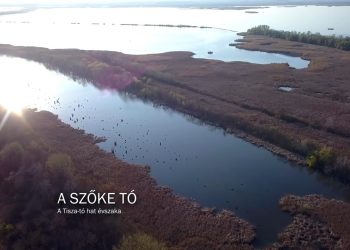 Filmajánló: A szőke tó: a Tisza-tó hat évszaka