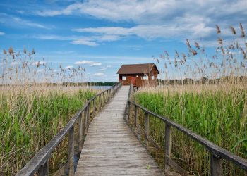 Tisza-tavi vízi sétány